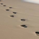 Footprints Suchmaschinenoptimierung