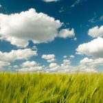 Wolken