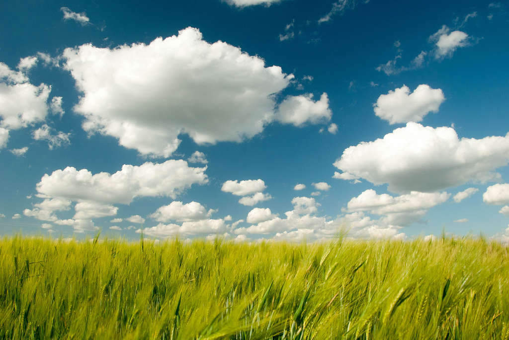 Cloud-Computing: Eine Datenwolke zieht auf