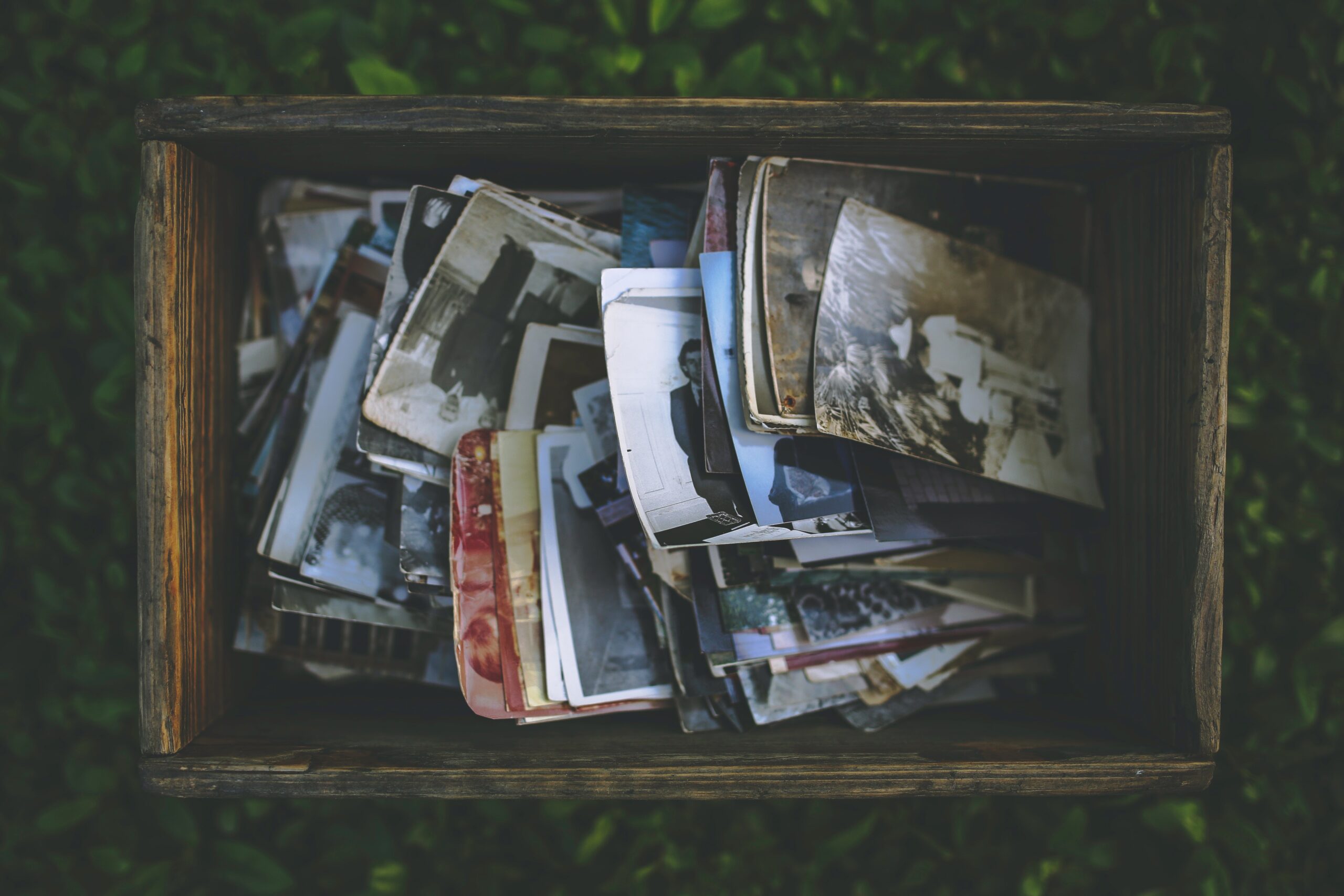 Google Search by Image: Google, was ist auf meinem Foto?