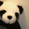 Panda Update