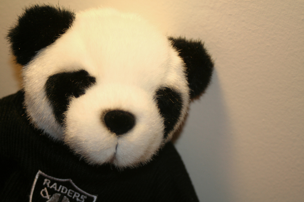 Updates von Panda & Co. im Google Zoo