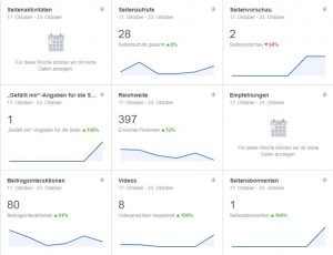 Seitenstatistik