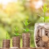 Aufgetürmtes Geld mit Pflanzen - Geld und Pflanzen wachsen - zur Veranschaulichung der Vorteile durch Performance Marketing