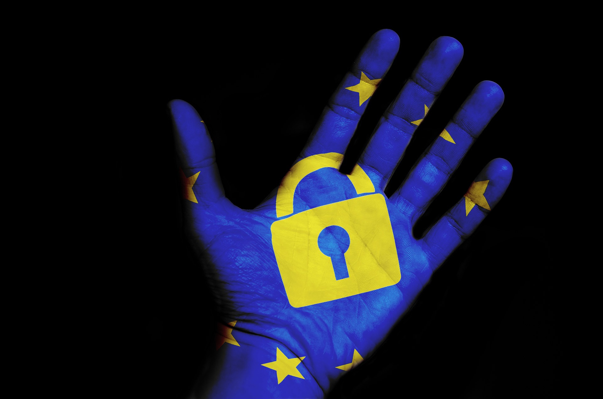 Blaue Hand mit gelben Sternen (EU) und in der Mitter der Hand ist ein gelbes Schloss
