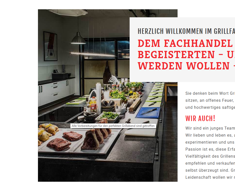 Screenshot Webseite das-grillfachgeschäft.de als Beispiel für den Title Tag